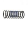 DT 2.10027 Valve Spring